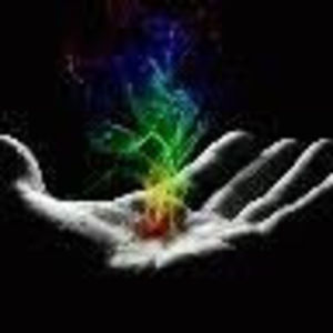 Meet your Posher, Cheyenne